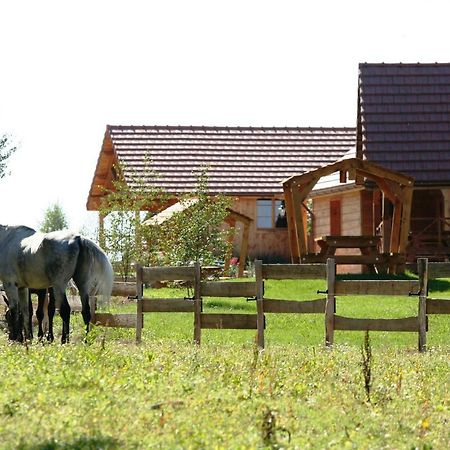 Le Hameau Des Grilles Villa Saint-Fargeau  Exterior photo