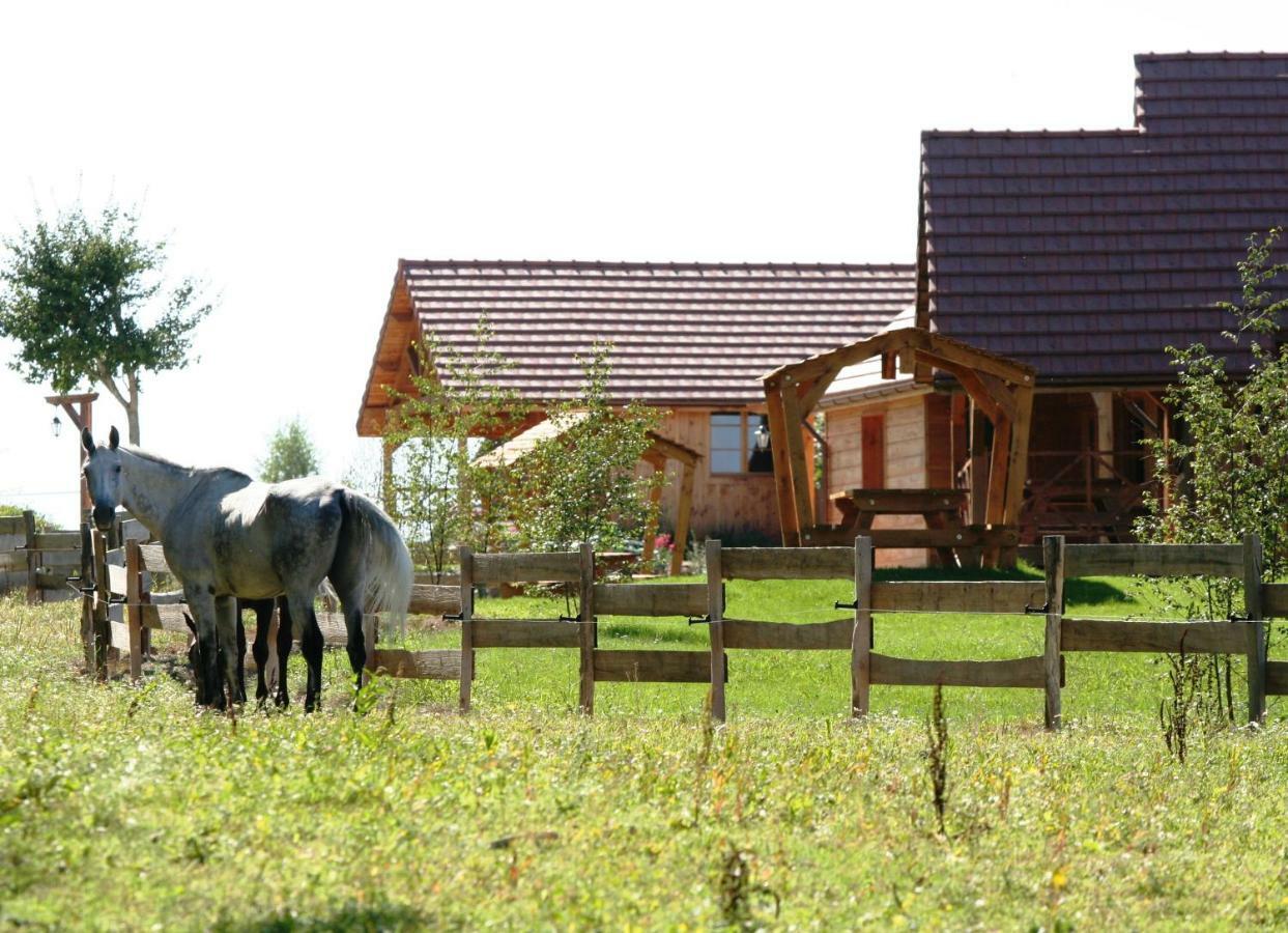 Le Hameau Des Grilles Villa Saint-Fargeau  Exterior photo